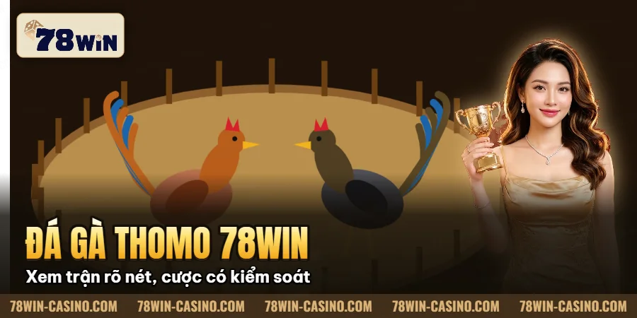 Hình minh họa bài viết: Đá Gà Thomo 78win Trực Tiếp, Cá Cược An Toàn 2025